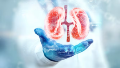 Wie Nephrologie bei der Früherkennung von Nierenerkrankungen hilft