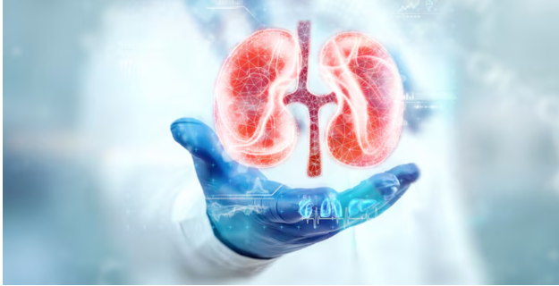 Wie Nephrologie bei der Früherkennung von Nierenerkrankungen hilft Wie Nephrologie bei der Früherkennung von Nierenerkrankungen hilft